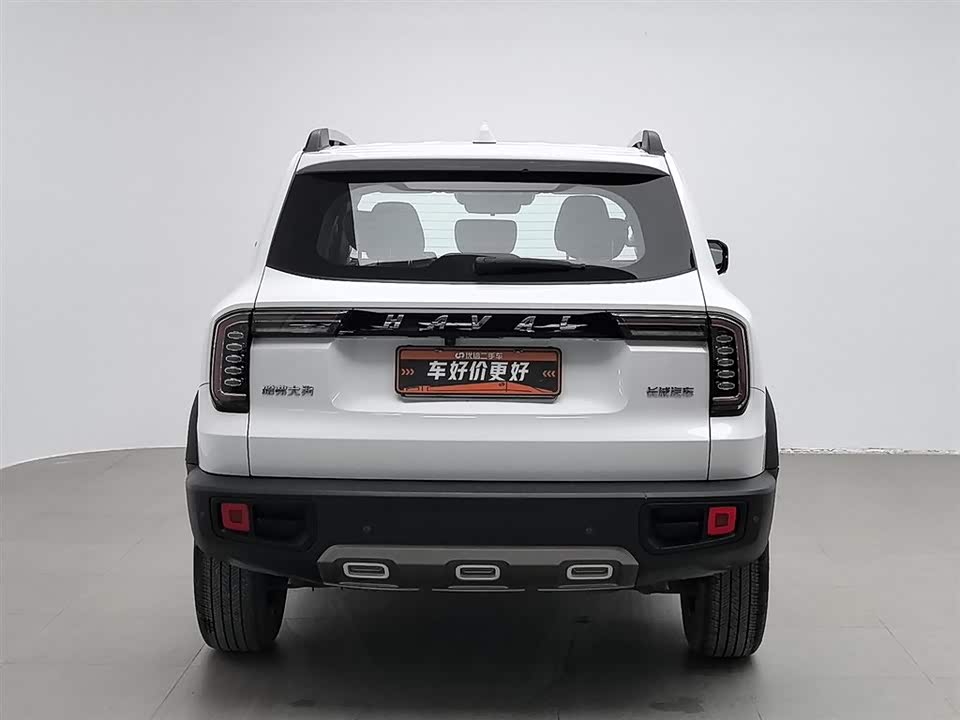 Haval Big dog