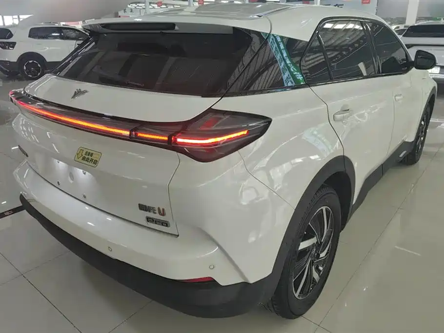 Neta Nezha U
