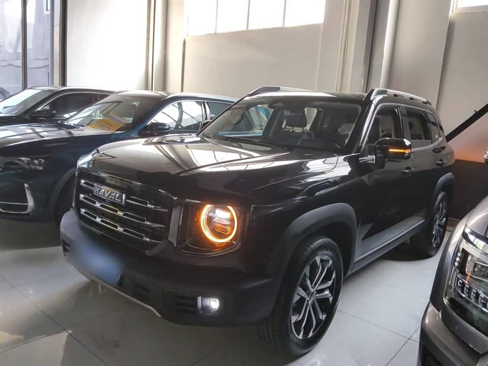 Haval Big dog