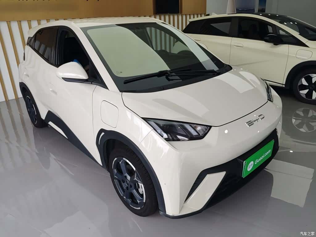 BYD Seagull, 2024 4