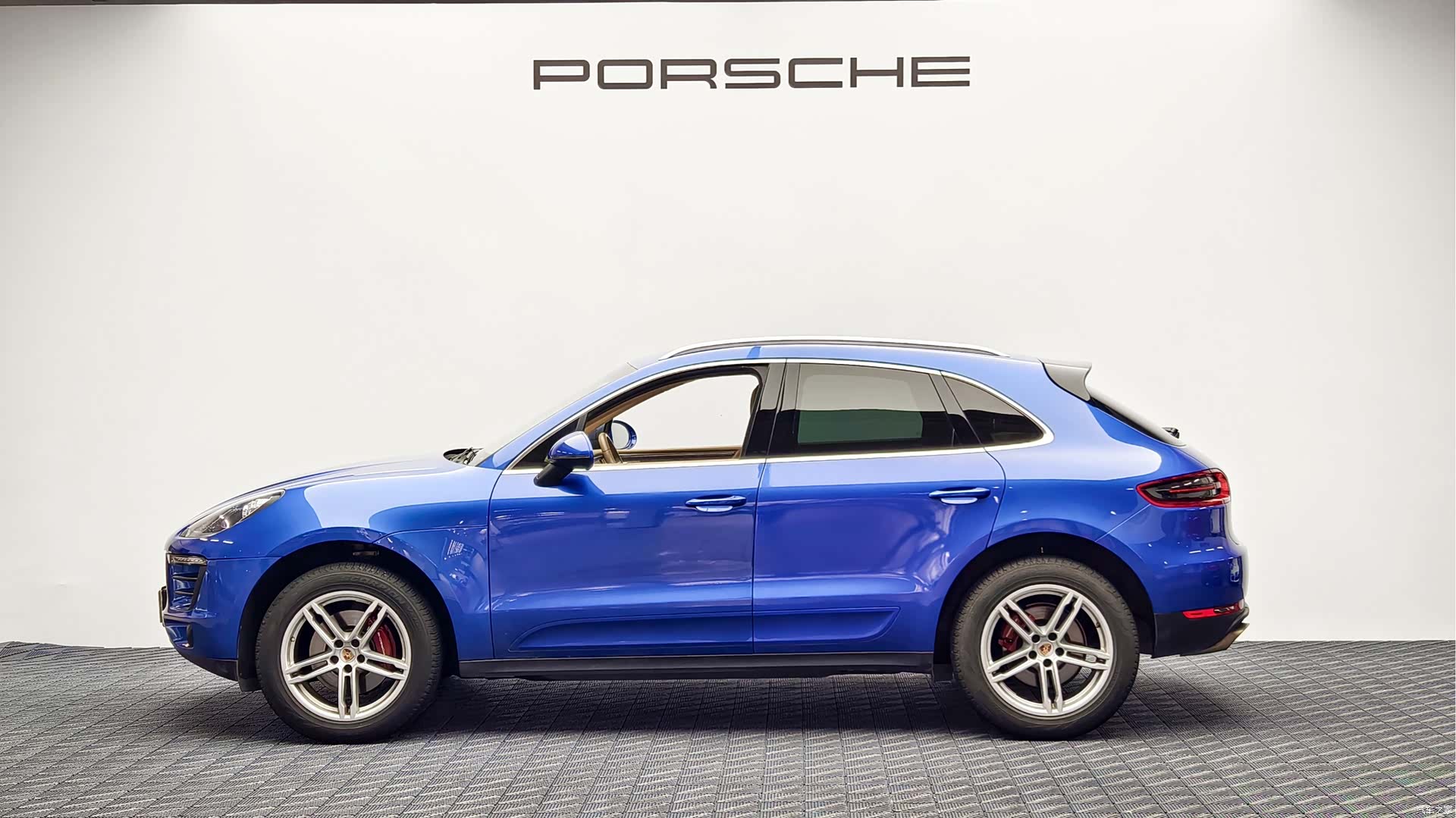 Macan Macan, 2015 4