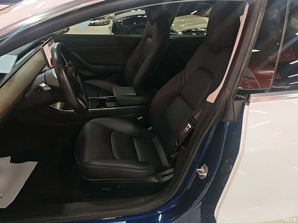 Tesla Model 3, 2019 15