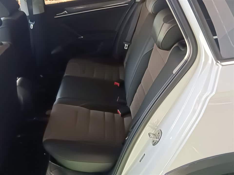 Volkswagen C-TREK Wei Collar