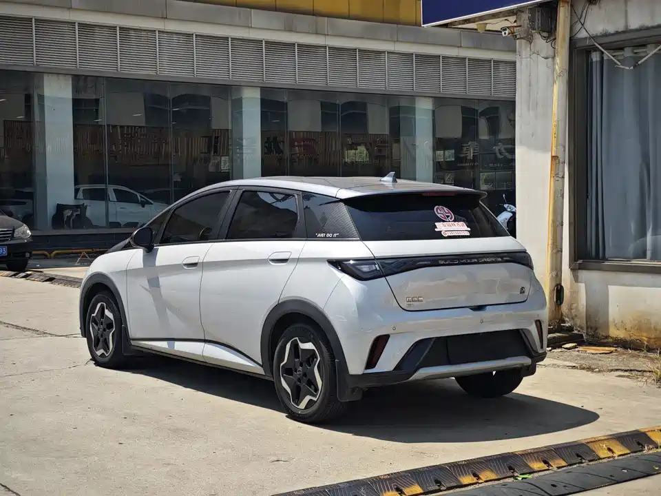 BYD dolphin