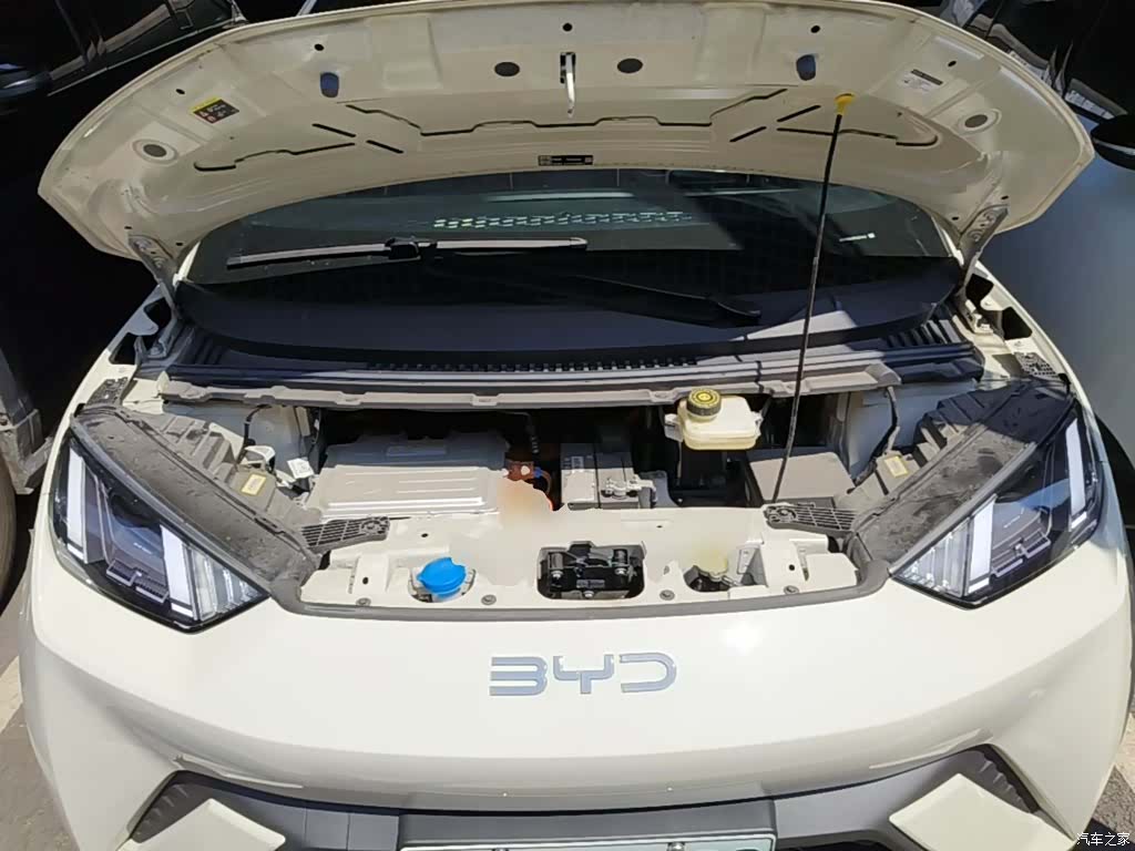 BYD Seagull, 2024 20