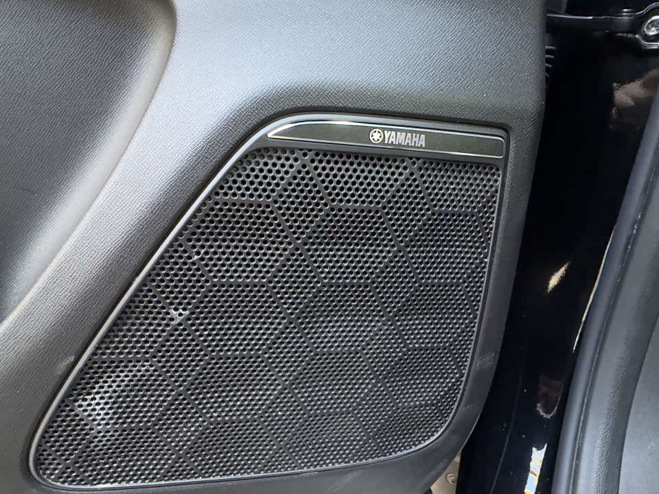 Trumpchi Trumpchi E9