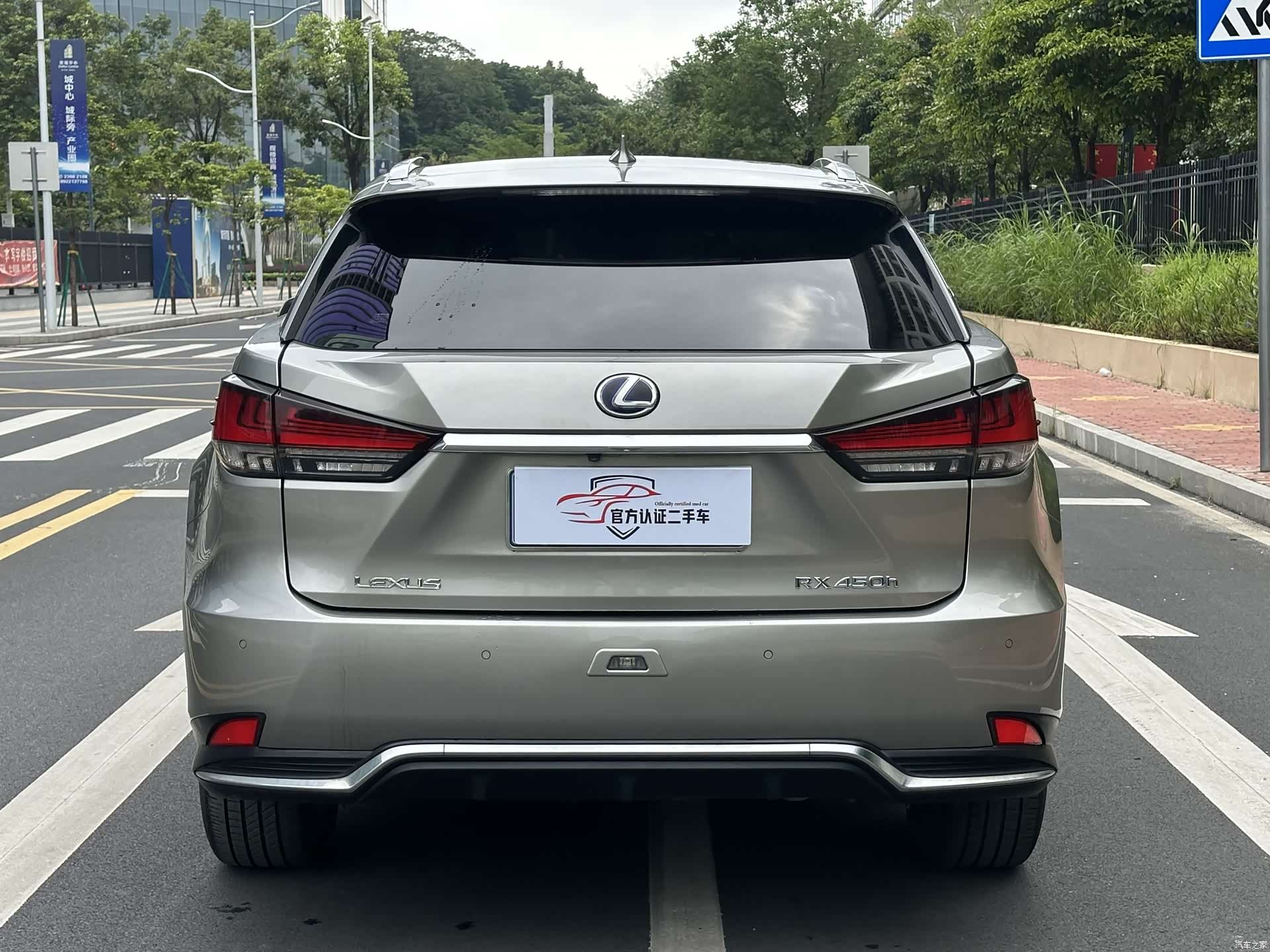 Lexus RX, 2020 все фото