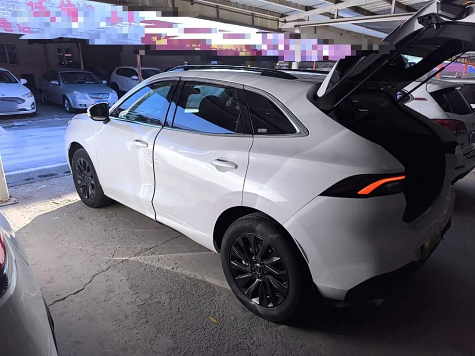 Forthing Popular T5 EVO