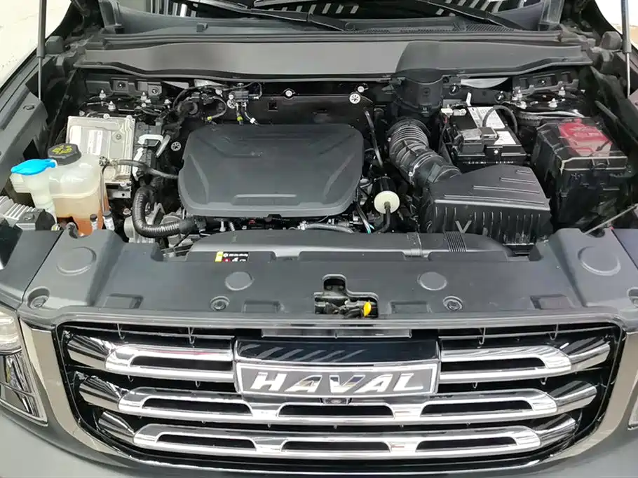 Haval Big dog