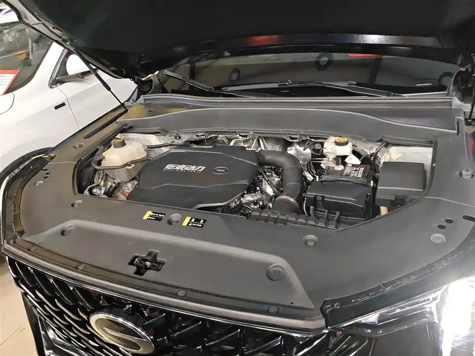 Trumpchi Trumpchi GS8