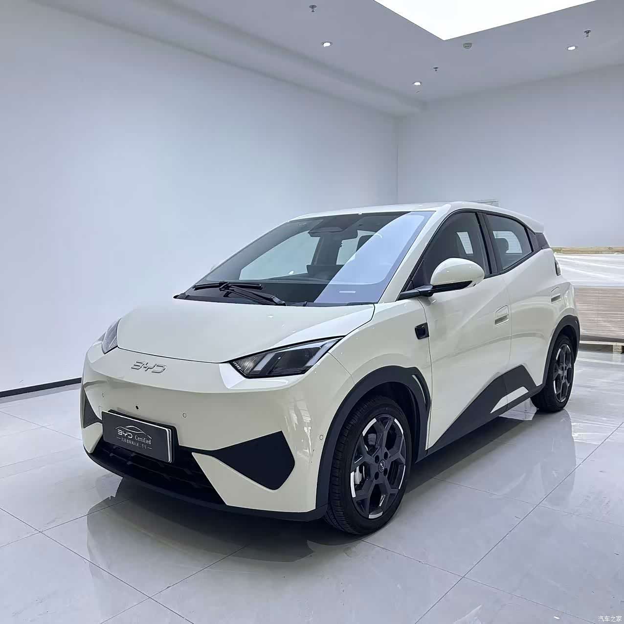 BYD Seagull, 2025 1