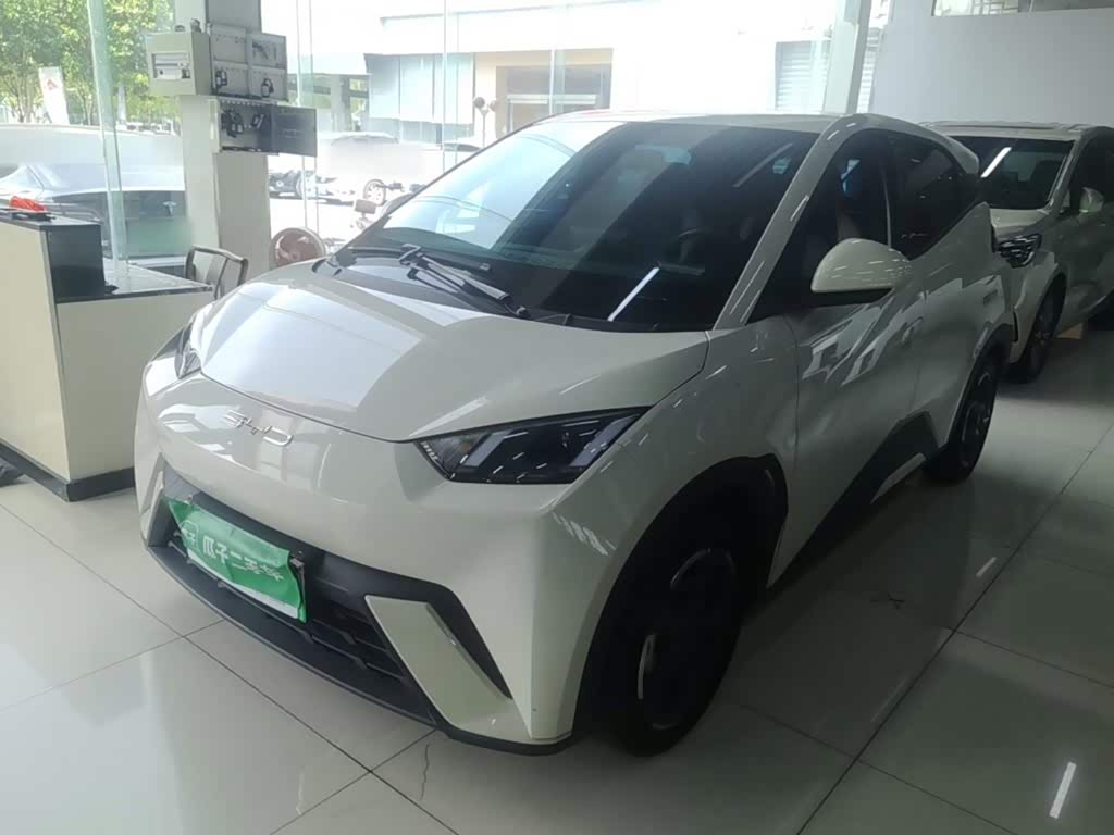 BYD Seagull