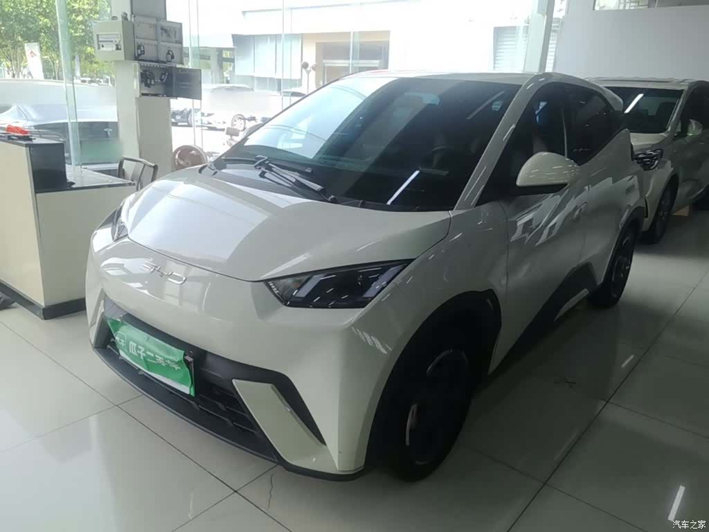BYD Seagull, 2024 1