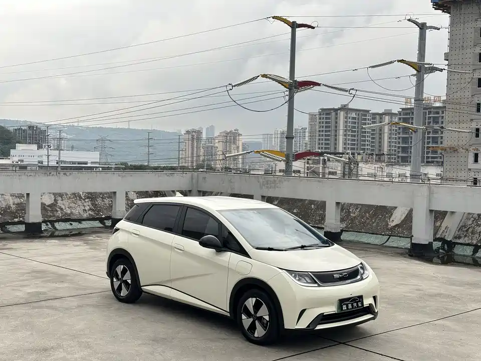 BYD dolphin BYD dolphin
