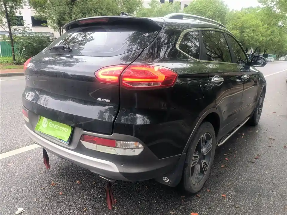 Leopaard Cheetah CS10