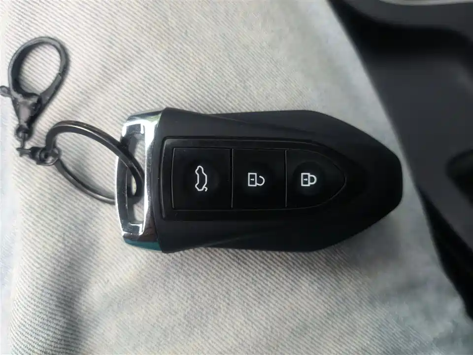 Leopaard Cheetah CS10