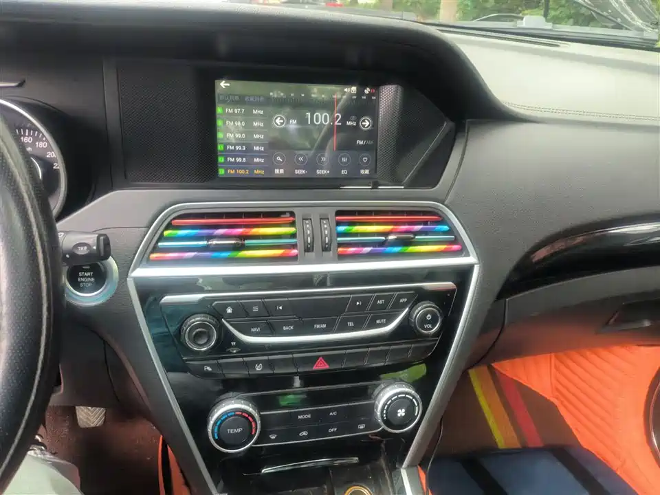 Leopaard Cheetah CS10