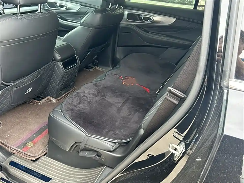 Trumpchi Trumpchi GS8