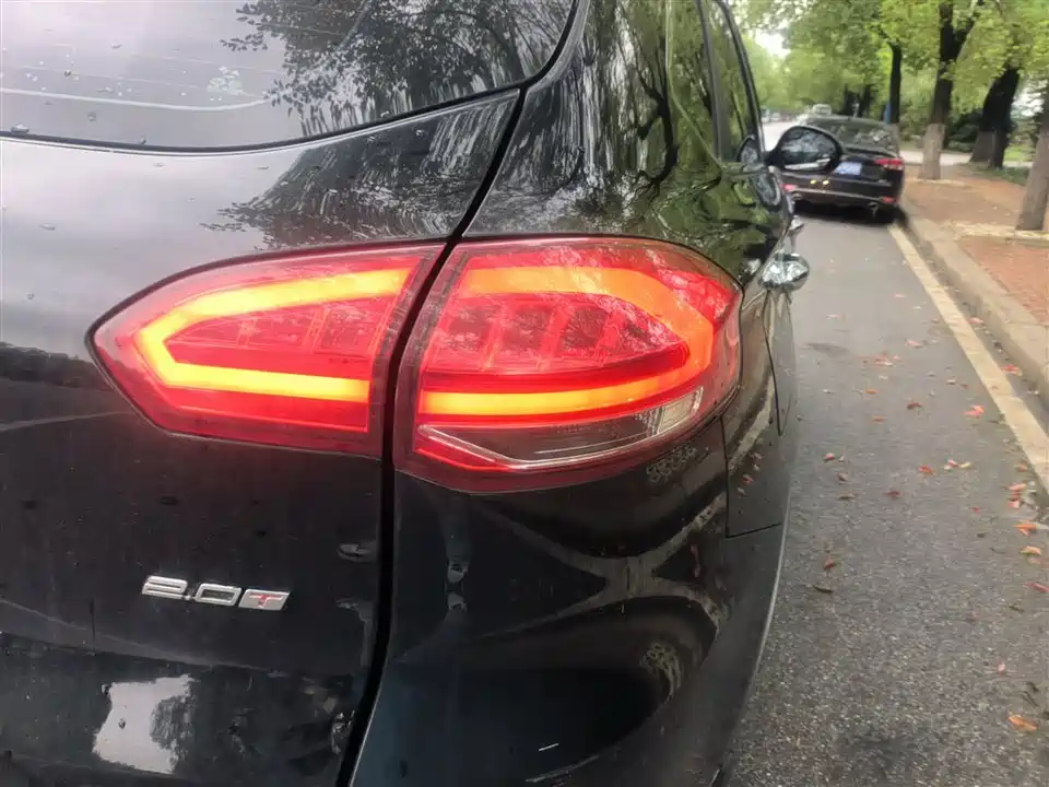 Leopaard Cheetah CS10