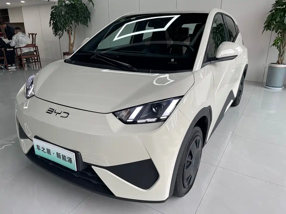 BYD Seagull