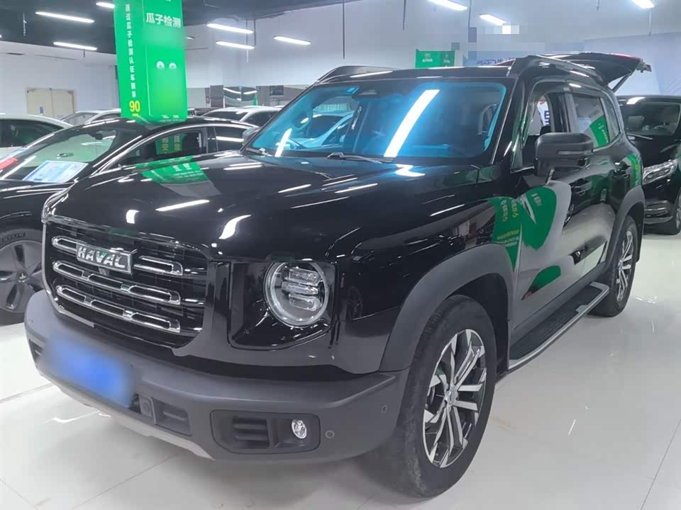Haval Big dog