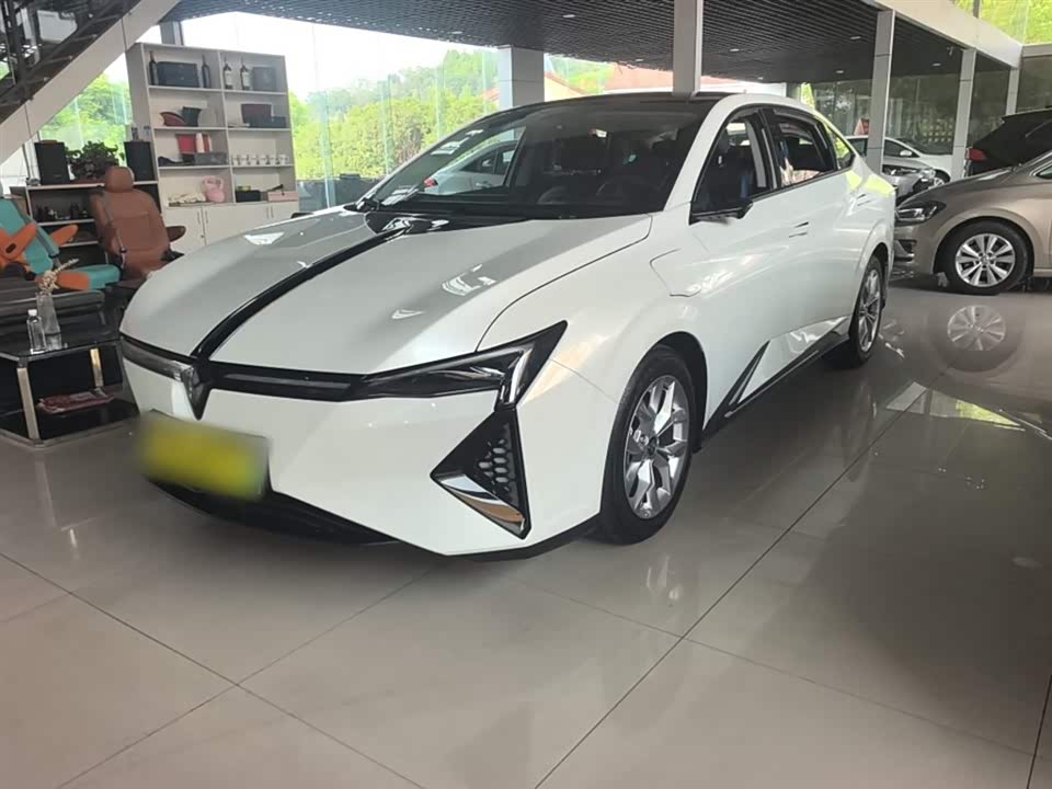 Lingspy L
