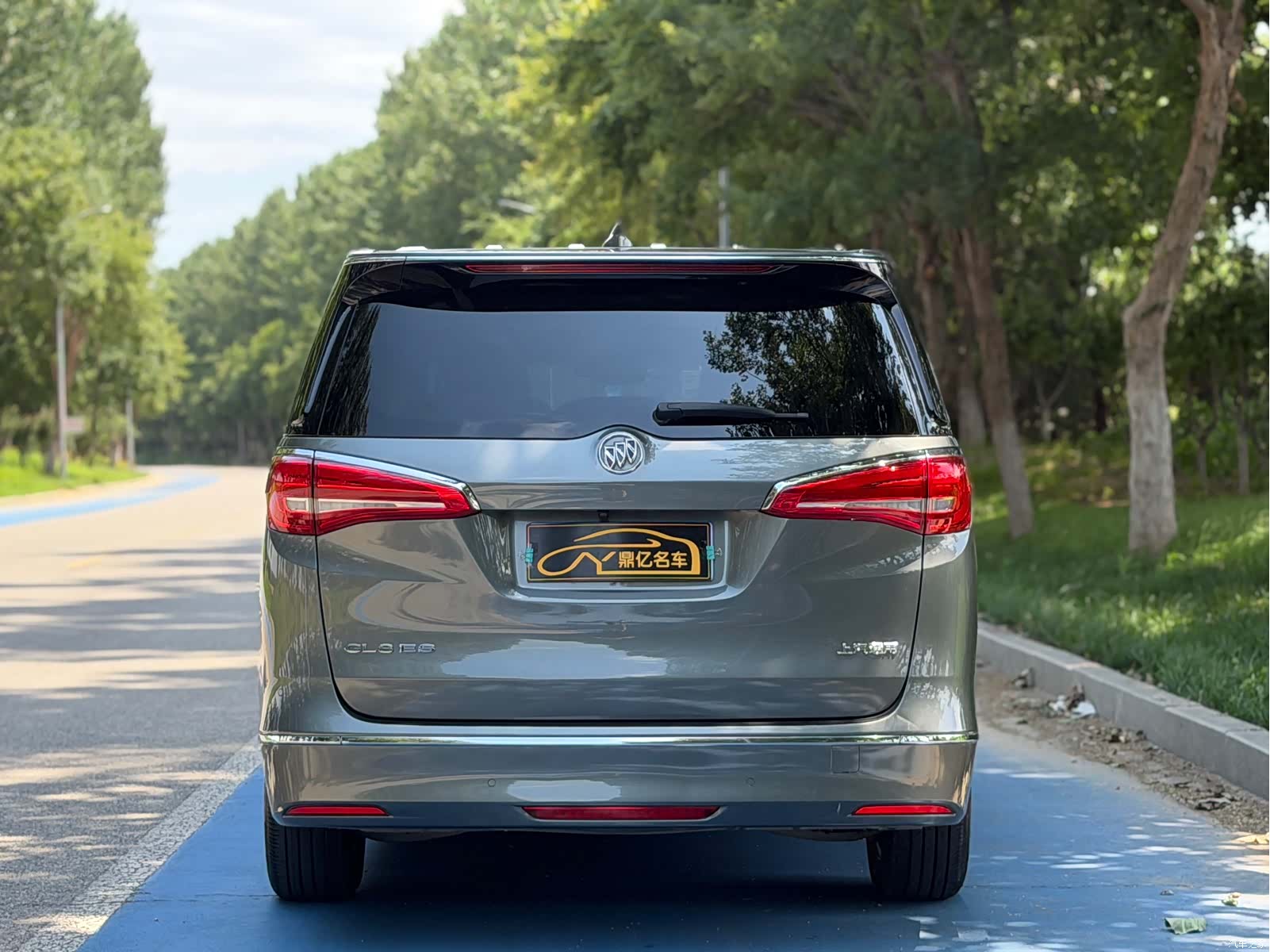 Buick GL8, 2019 все фото