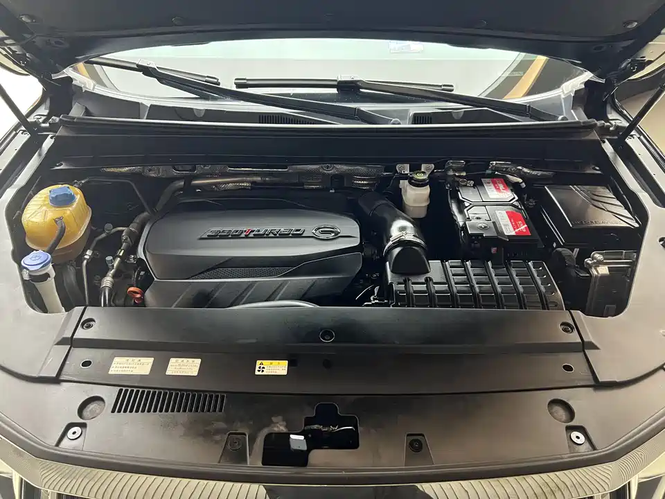 Trumpchi Trumpchi GS8