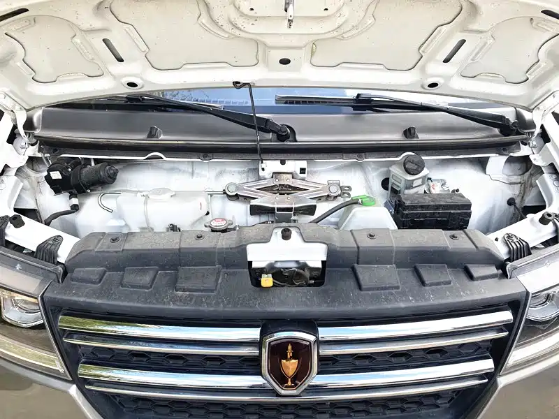 Jinbei New Sea Lion S