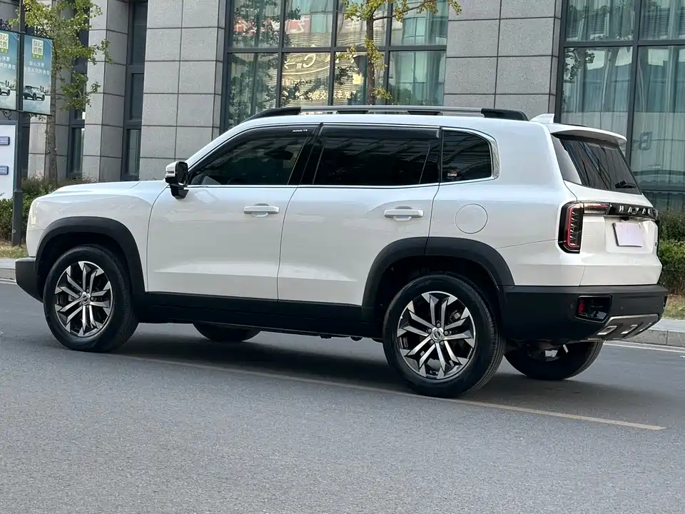 Haval Big dog