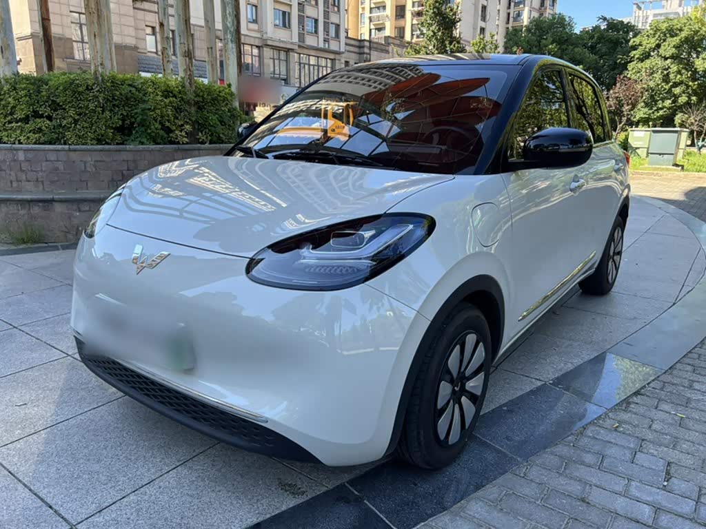 Wuling Binguo
