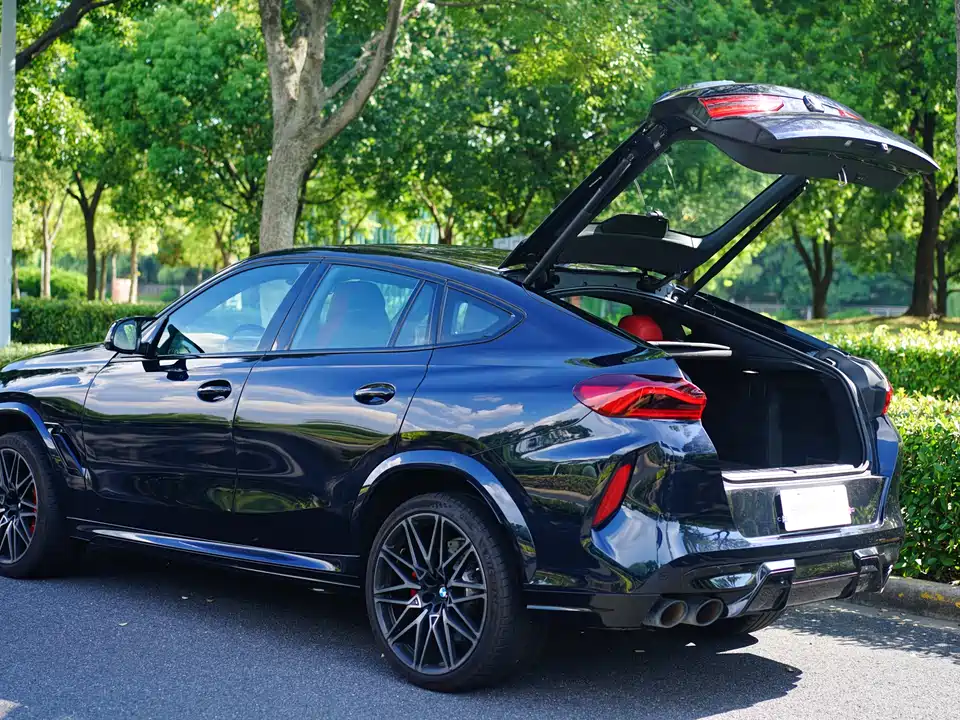 BMW X6 M