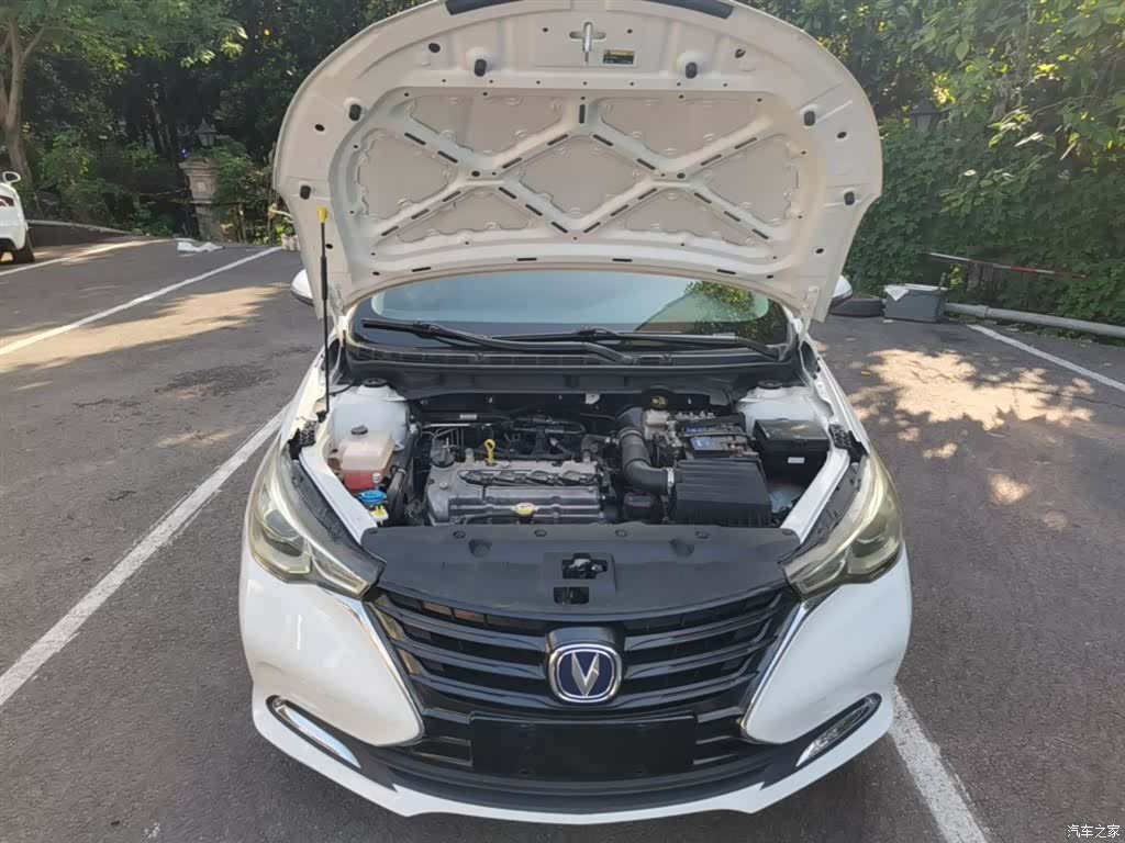 Changan VI, 2020 20