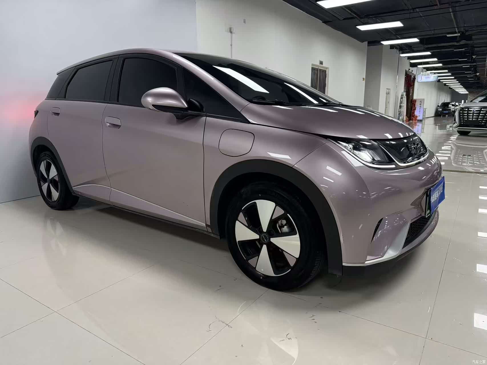 BYD Dolphin, 2023 3