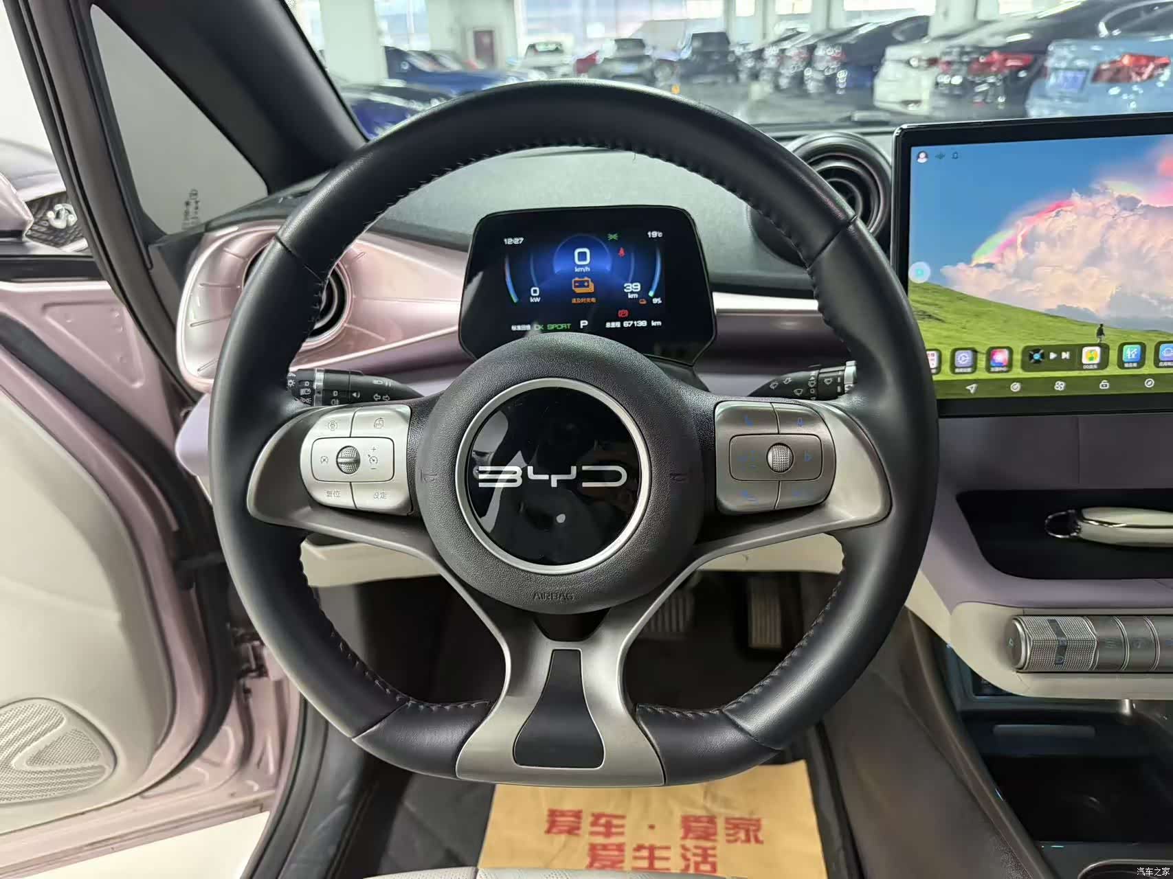 BYD Dolphin, 2023 8