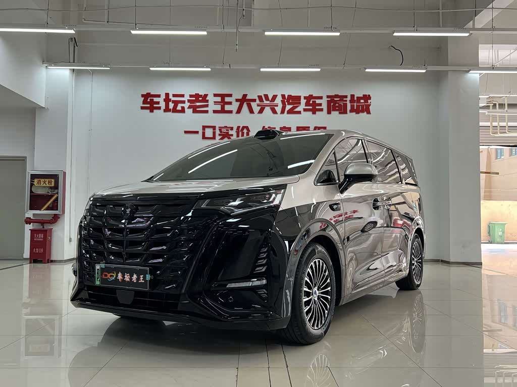 Denza D9