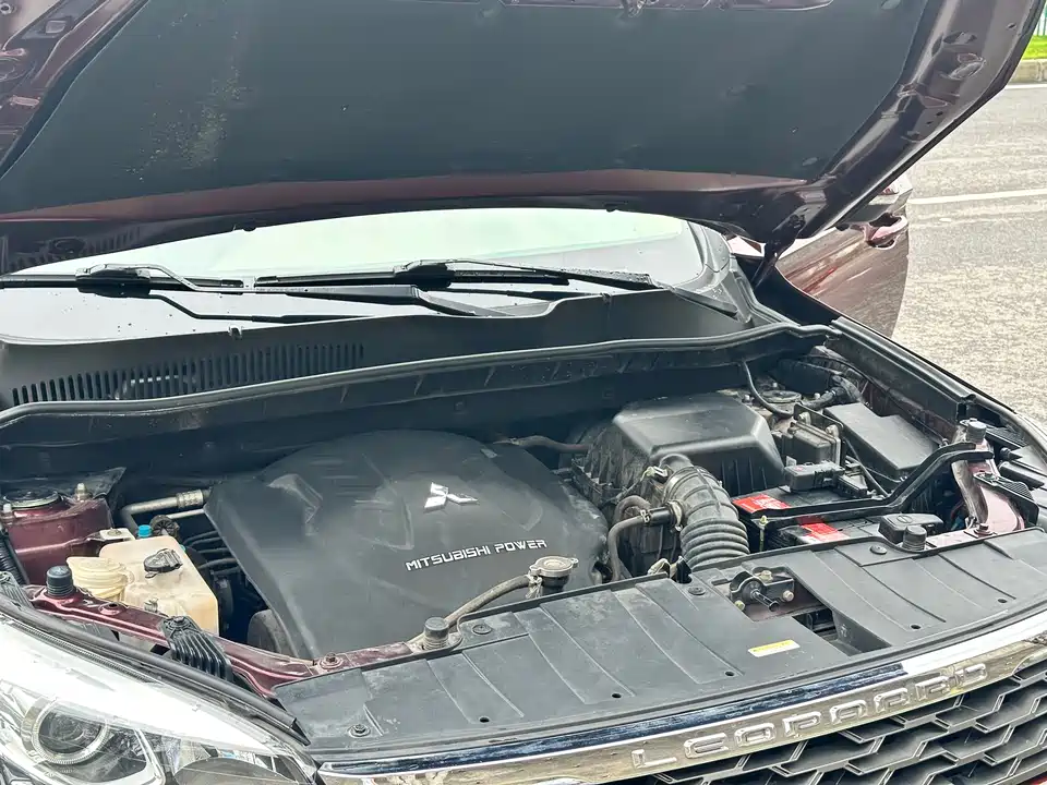 Leopaard Cheetah CS10