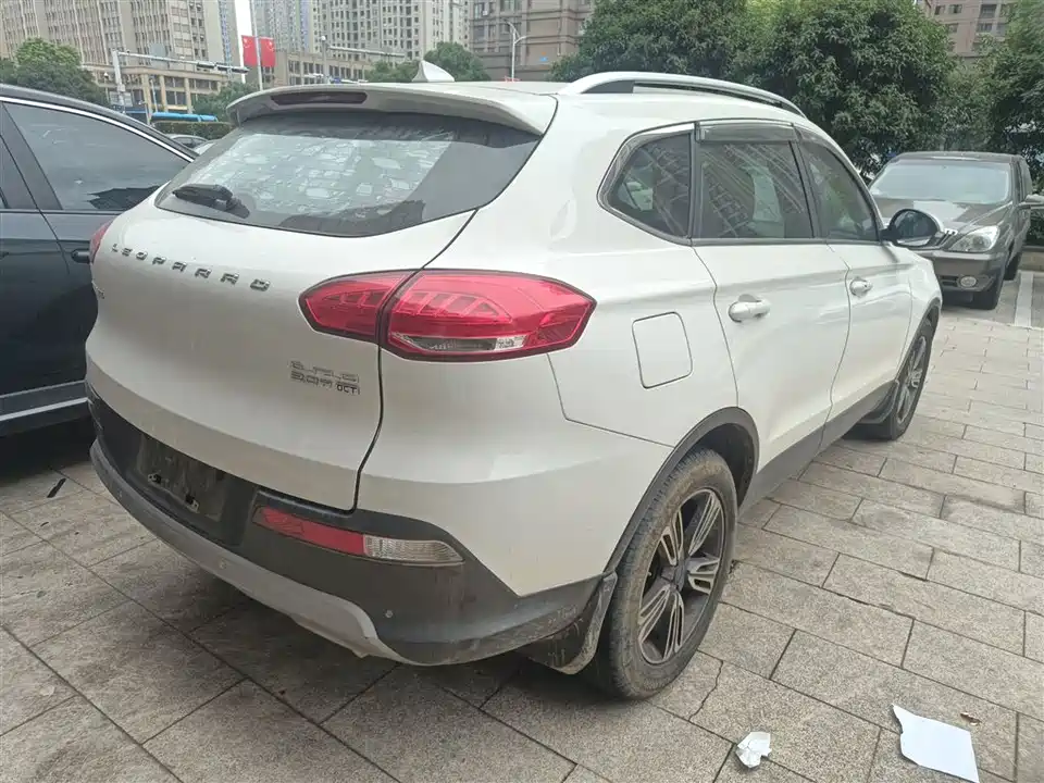 Leopaard Cheetah CS10