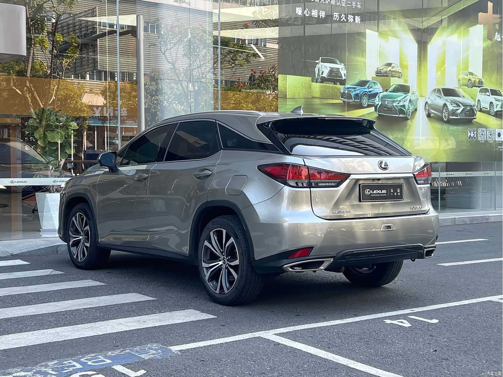 Lexus RX, 2022 12