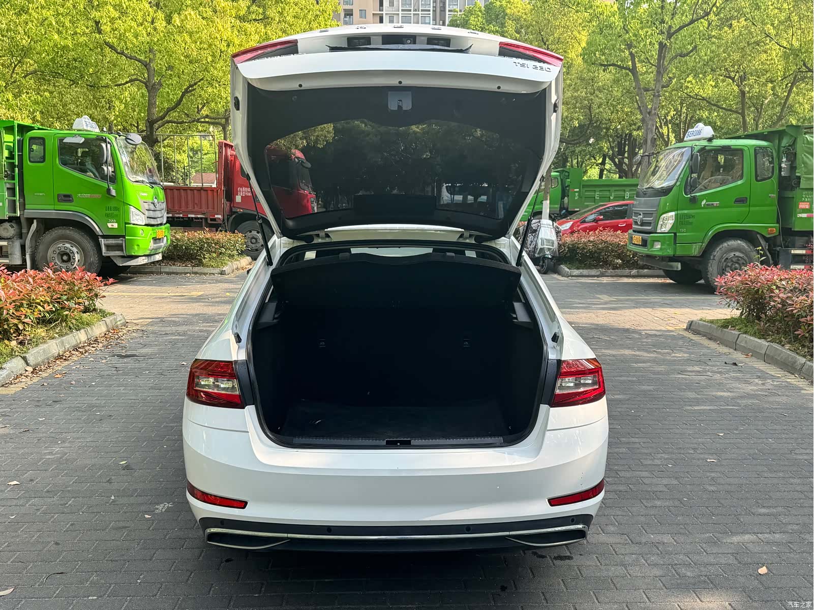 Skoda Octavia, 2019 13