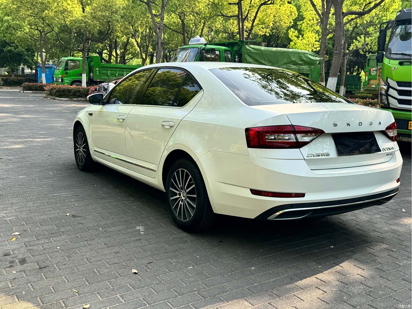 Skoda Octavia, 2019 15