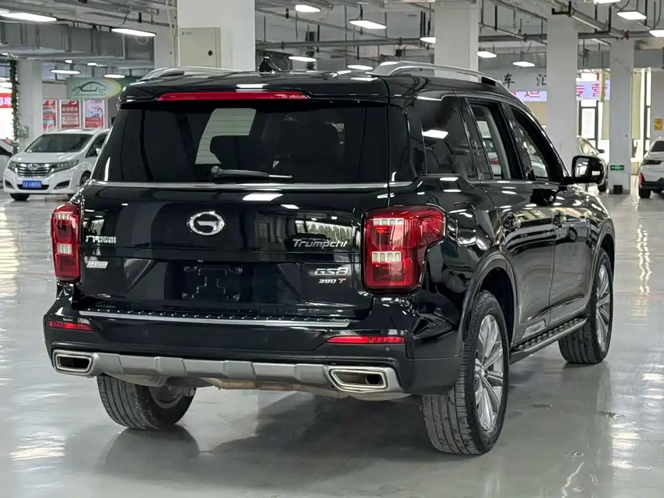 Trumpchi Trumpchi GS8