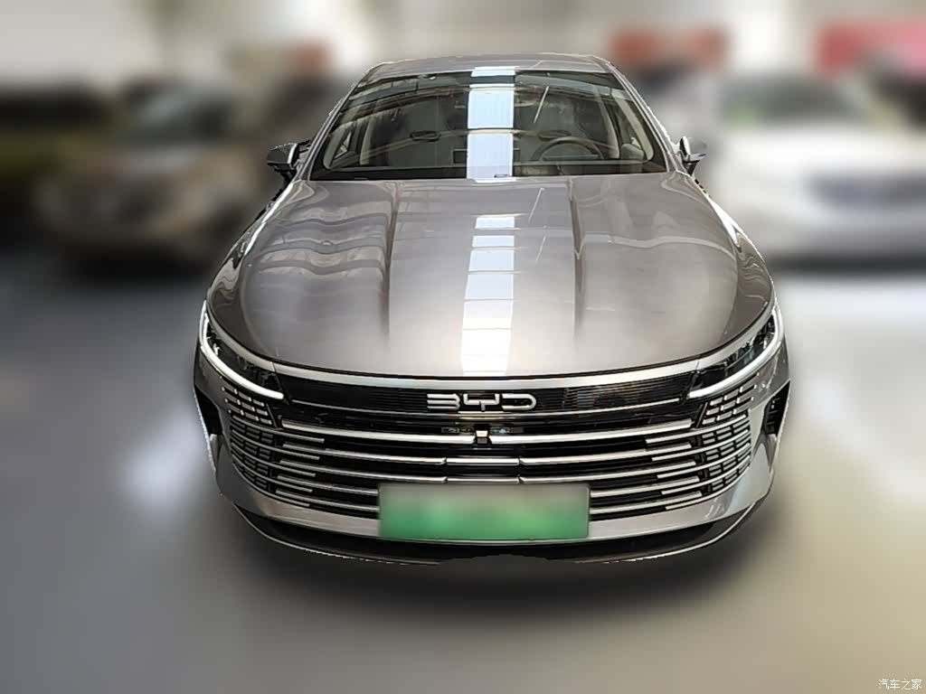 BYD Destroyer 05, 2024 все фото