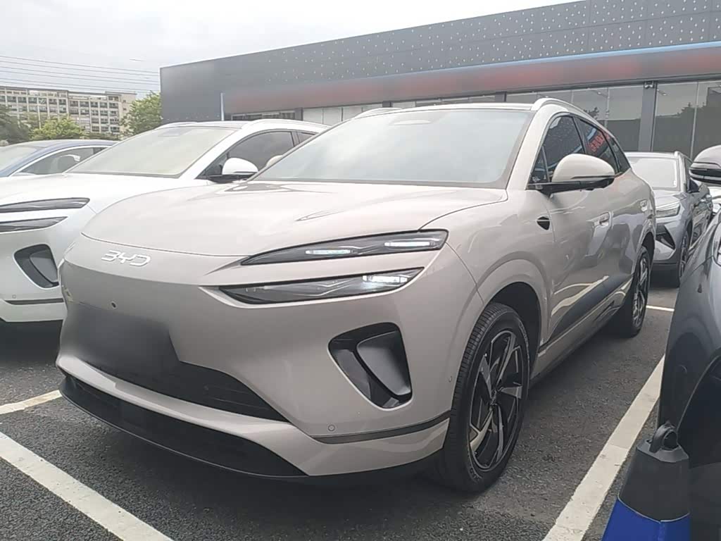 BYD 06