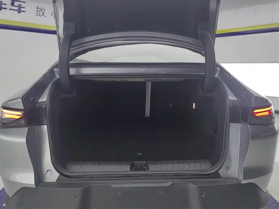 ARCFOX Polar Fox Alpha S5