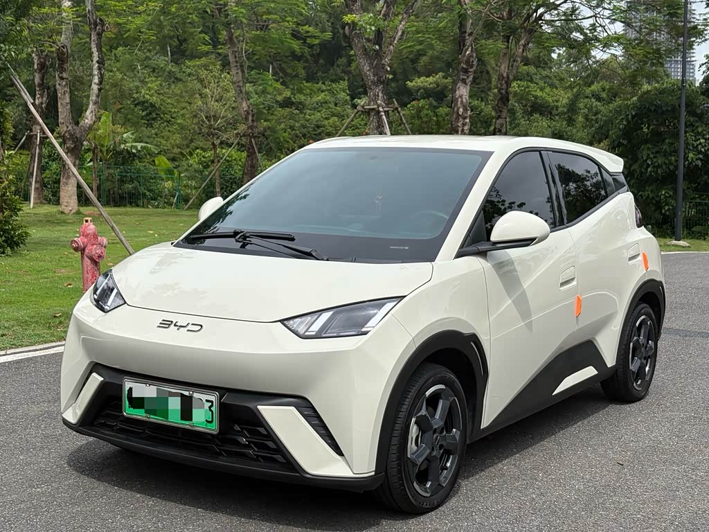 BYD Seagull