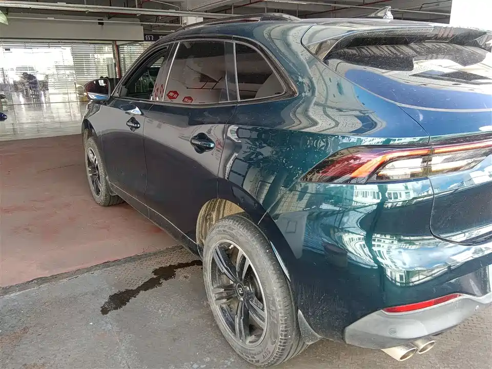 Forthing Popular T5 EVO