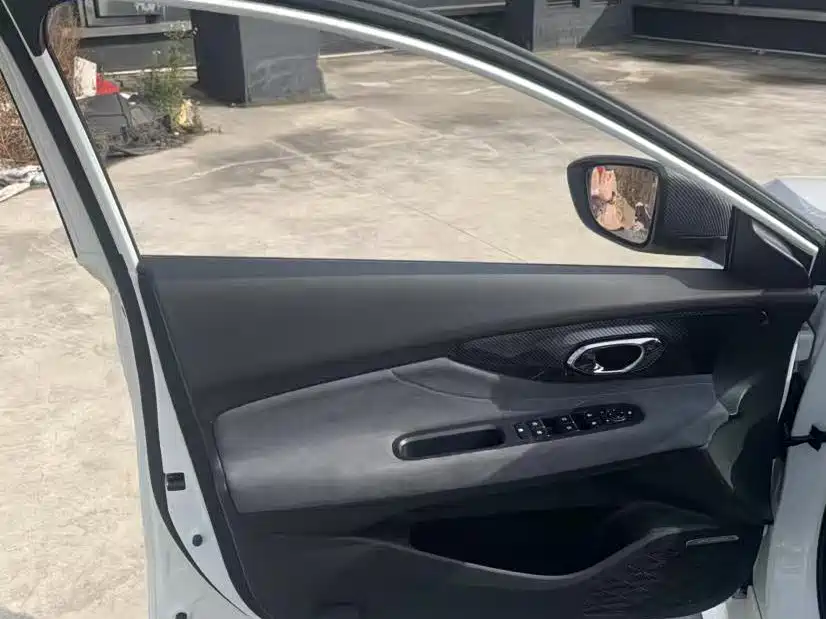 Trumpchi Shadow Leopard