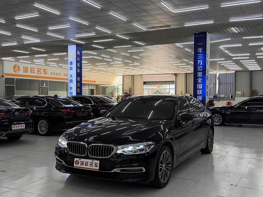 BMW 5 Series 5 2019 530Li Premium Luxury