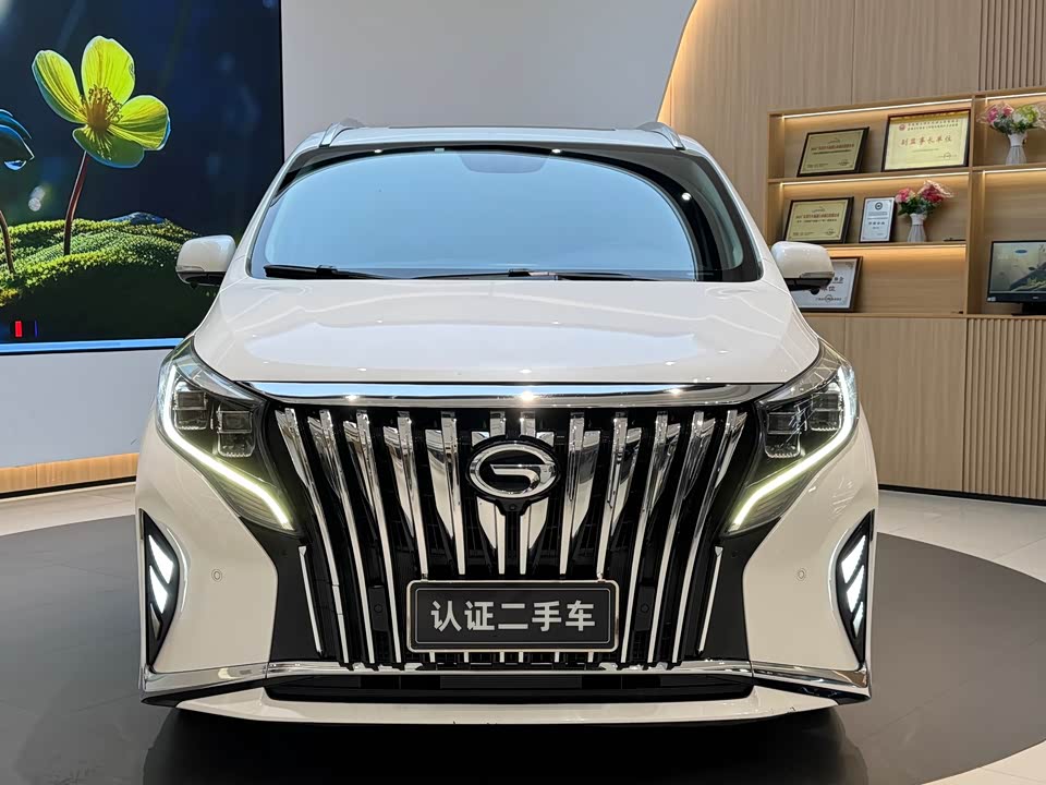 Trumpchi Trumpchi M8